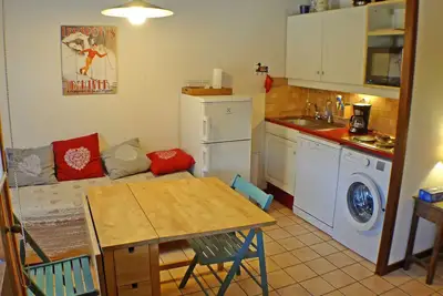 Image de Coquet studio Rdc avec terrasse, animaux admis, étang Samoëns