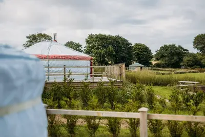 Image de Turkey Dog - A luxury couples+ Yurt on a stunning historic estate near Newquay. Dog friendly