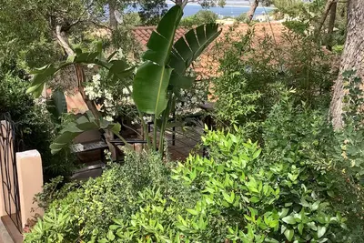 Image de Maisonnette Cabanon sur la presqu’île de Giens