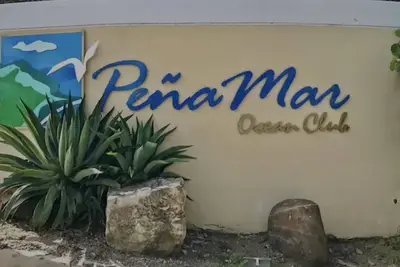 Image de Nest by the Marina