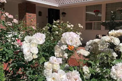 Image de Pleasanton Gem: Entire House 4 Beds/Bonus Rm! Convenient to Bart & Shopping!