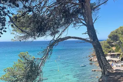 Image de Superbe villa Sanary, 8/10 p, 5 chbres, 3 sdb, jardin, piscine, pro plage