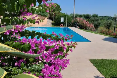 Image de Regarda - Apartment \"Nido dell'Arte\" in Bardolino with pool and lake view