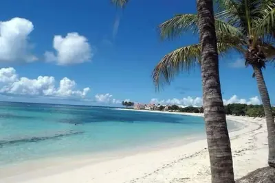 Image de Grain de corail – T4 - famille & amis, piscines + mer à pied