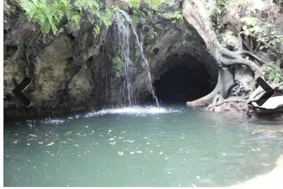 Image de \"Tapir Cave and Mayan Cenote