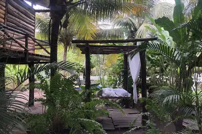 Image de Have you thought about staying at a Casa da Arvore in Chapada Diamantina?