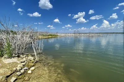 Image de Chaparral de Lago 2