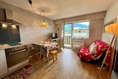 Image de Studio cosy au centre de Samoëns avec animaux acceptés et parking