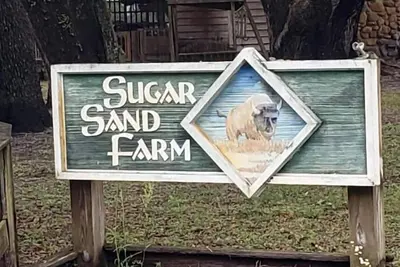 Image de Little Fish House Casita de Peces Sugar Sand Farm