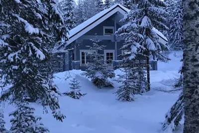 ILMAJÄRVI Forest Dream