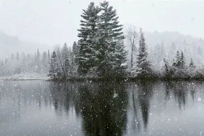 Image de Waterfront wonderland in Huntsville