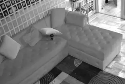 Image de Bronx Chill Zone