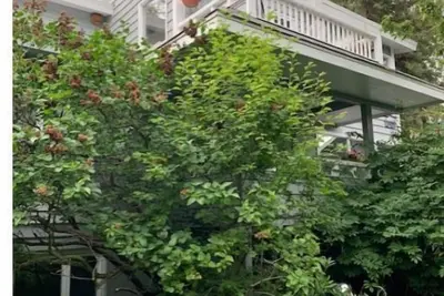 Image de Historic  Downtown 2br large Apt near Ocean