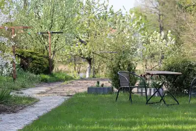 Image de Nenufar - Pokoje blisko lasu