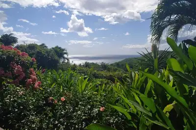 Image de Gîte- appart' Ylang Ylang petite vue mer au coeur d'un jardin tropical