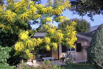 Image de A 10 mn de Cannes