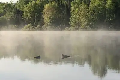 Image de Northwoods waterfront upper one bedroom unit on the Spirit River Flowage.