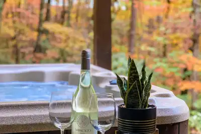 Image de Paradise Escape: Minutes from Blue Ridge, Hot-Tub, 100+ 5-star Reviews!