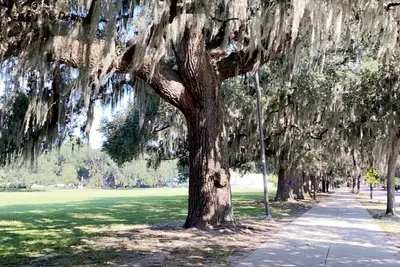 Image de Beautiful historic renovated Condo blocks from Forsyth Park