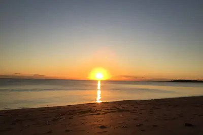 Image de L'hermine du haut de la plage vue mer