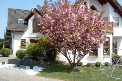 Image de Ferienwohnung mit Herz - Appartement/fewo, Dusche, Wc, Neuwertig