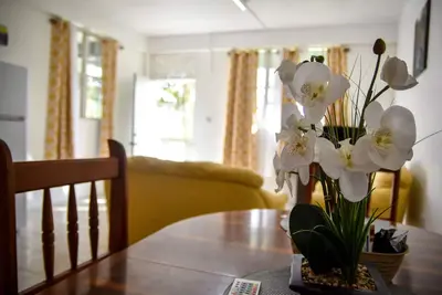 Image de Large 2 Bedroom 2 Bathroom Apartment #4 in Roseau. Bus stops right in front!