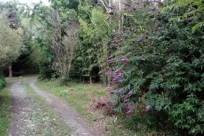 Image de Villa con Piscina Cerca de Noja