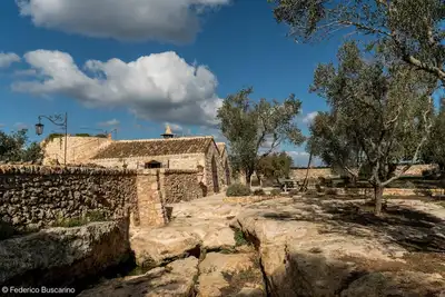 Straordinaria Pajara nel Salento