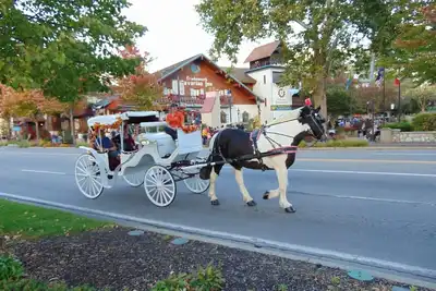 Image de Frankenmuth Getaway