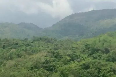 Image de Organic Farm with Majestic Sea & Mountain View Unit 2