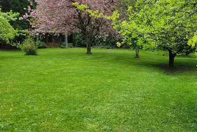 Image de Currently Refinishing Floors, New Carpet, and New Furniture Fresh Photos Soon!