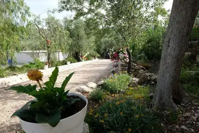 Image de Green apartment Cis Fgo7106032000025210