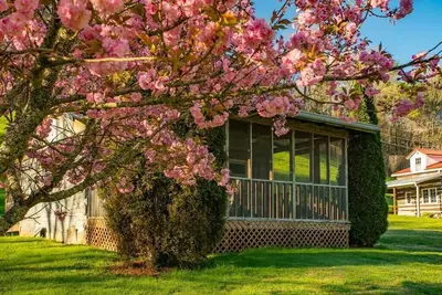 Image de Midge: cozy studio cabin, firepit, perfect for anglers w/wading river access