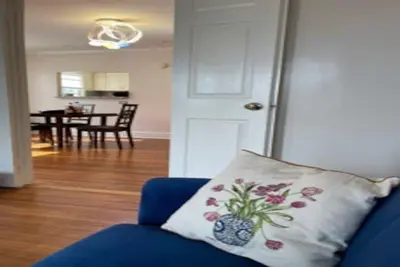 Historical Crown Heights Koi Residense