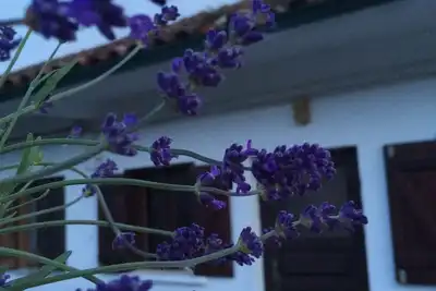 Image de Rustic house in a small village with amazing views