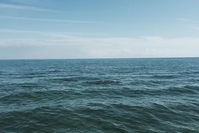 Image de Steps from the beach and the famous Broadwalk