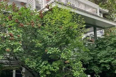 Downtown Historic Former \"Judge's Study\" Studio by Ocean