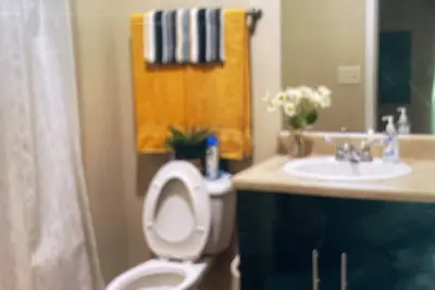 Image de Downtown dreams