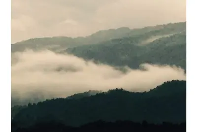 Image de Organic Farm with Majestic Sea & Mountain View Unit 3