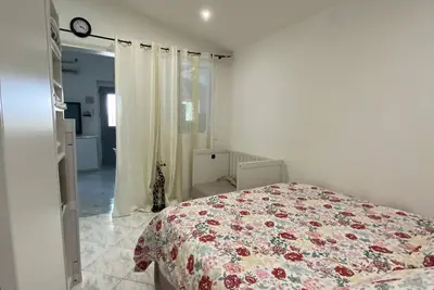 Image de Le petit figuier