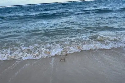 Image de 2br Luxury Oceanfront Condo at North Pointe