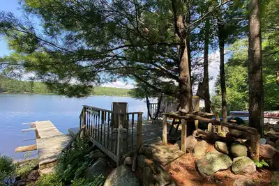 Image de Between The Pines