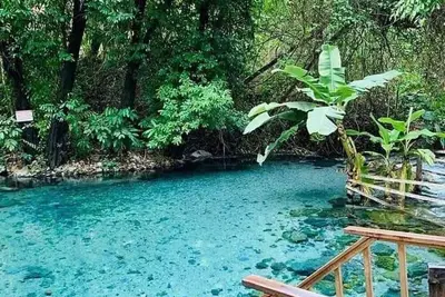 Image de Cantinho do sussego