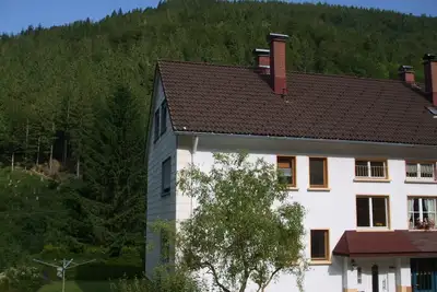 Image de Vacation home for 9 guests with 100m² in Todtnau (157265)