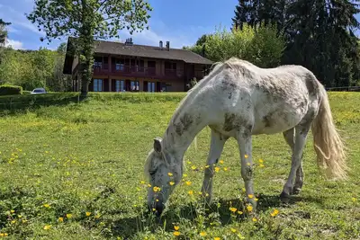 Image de Gîte Les Vernes (11-13 pers. )