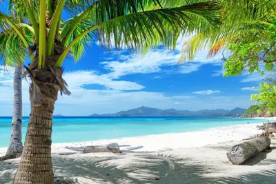 Image de Royal 1 Bedroom Suite