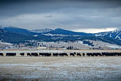 Image de The Lazy 8 Loft