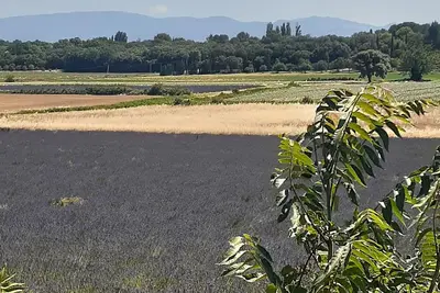 Image de Maison 10 à 12 couchage en Provence