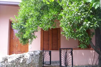 Image de House