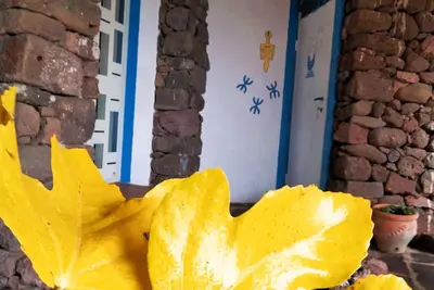 Image de Casa Belvedere Sa Costa: apartment nestled in the green countryside in Dorgali